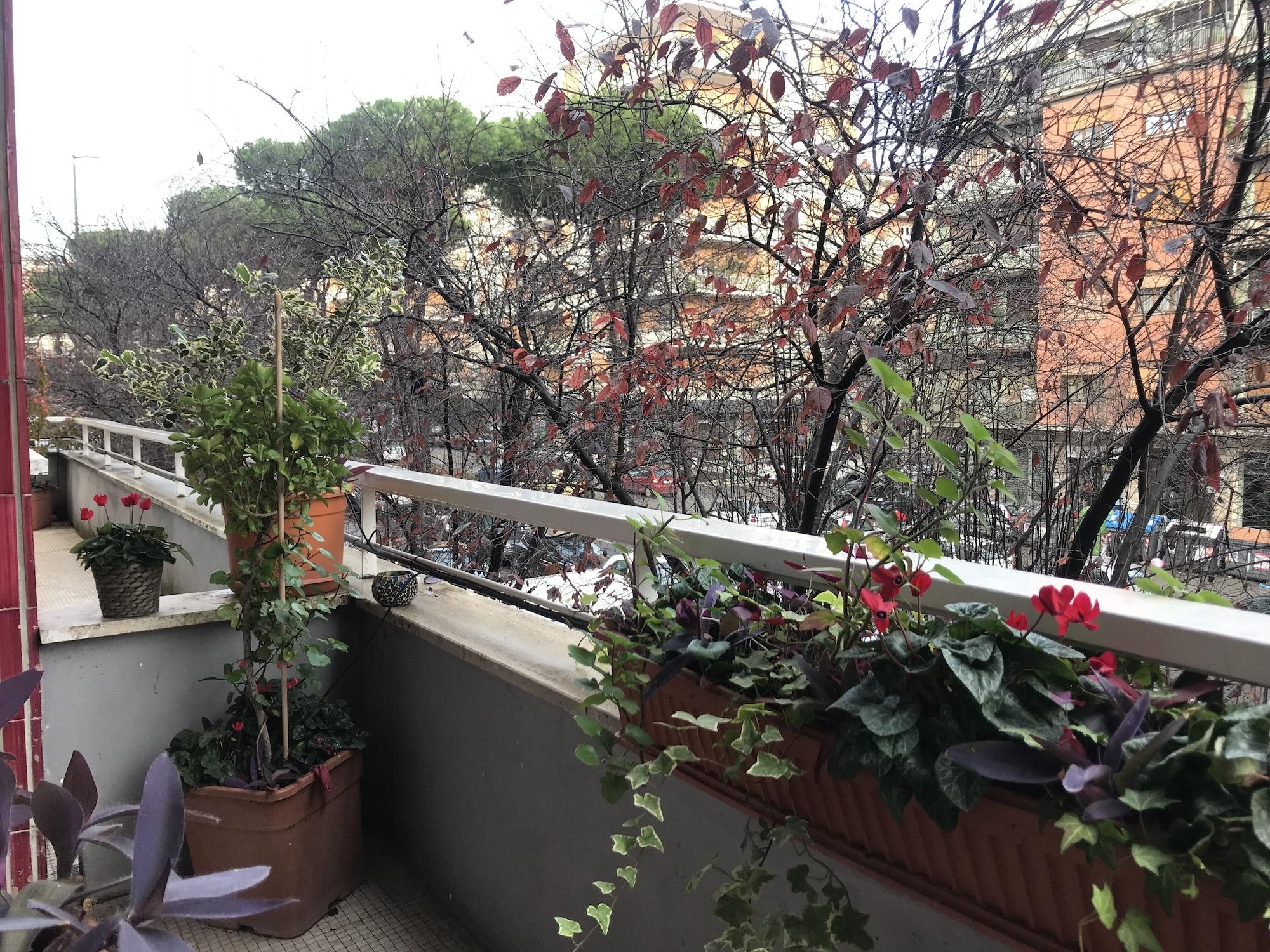 Pensión Casa Mia Vaticano Roma